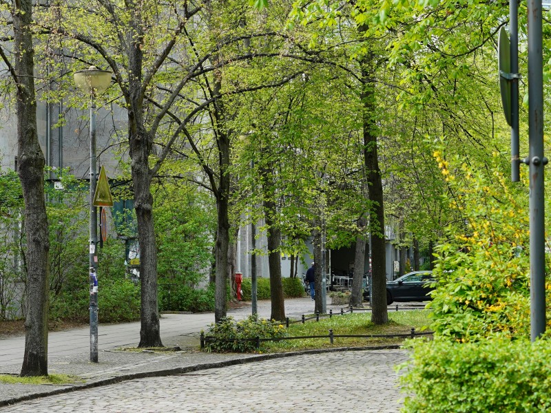 Bäume